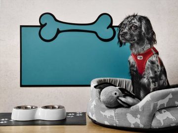 Schwarz-grauer Hund mit rotem Geschirr sitzt in einem gepolsterten Hundebett mit Hundeaufdruck, daneben ein Stofftier. Im Hintergrund ein blaues Wandpaneel in Knochenform, davor ein Doppelnapf auf einer Unterlage mit Pfotenmuster.